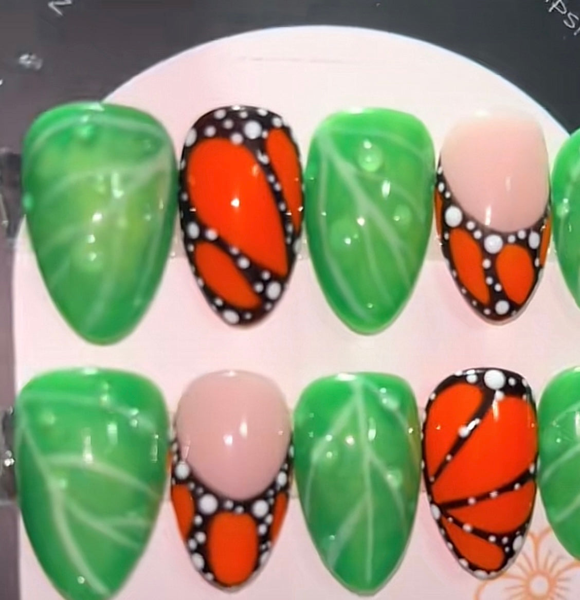Chill Butterfly